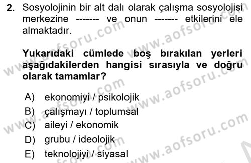 Çalışma Sosyolojisi Dersi 2022 - 2023 Yılı (Vize) Ara Sınavı 2. Soru