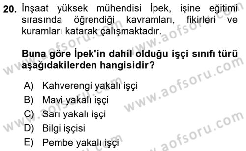 Çalışma Sosyolojisi Dersi 2022 - 2023 Yılı (Vize) Ara Sınavı 20. Soru