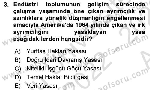 Çalışma Sosyolojisi Dersi 2022 - 2023 Yılı (Vize) Ara Sınavı 3. Soru