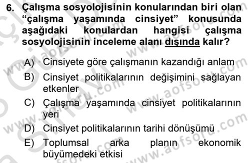 Çalışma Sosyolojisi Dersi 2022 - 2023 Yılı (Vize) Ara Sınavı 6. Soru