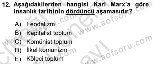 Çalışma Sosyolojisi Dersi 2022 - 2023 Yılı (Final) Dönem Sonu Sınavı 12. Soru