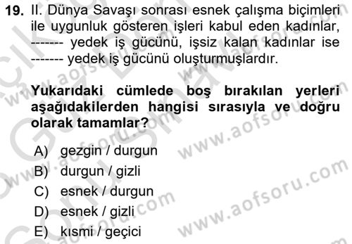 Çalışma Sosyolojisi Dersi 2022 - 2023 Yılı (Final) Dönem Sonu Sınavı 19. Soru