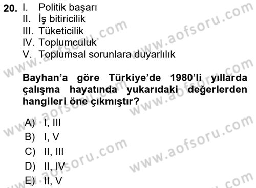 Çalışma Sosyolojisi Dersi 2022 - 2023 Yılı (Final) Dönem Sonu Sınavı 20. Soru