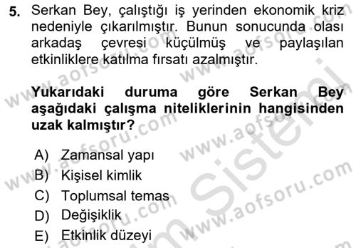 Çalışma Sosyolojisi Dersi 2022 - 2023 Yılı (Final) Dönem Sonu Sınavı 5. Soru