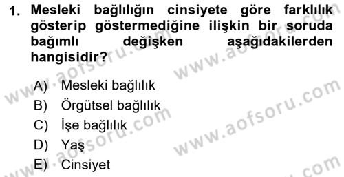 Çalışma Sosyolojisi Dersi 2022 - 2023 Yılı Yaz Okulu Sınavı 1. Soru