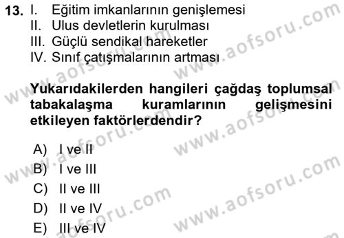 Çalışma Sosyolojisi Dersi 2022 - 2023 Yılı Yaz Okulu Sınavı 13. Soru