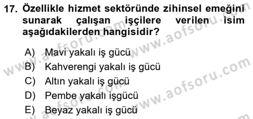 Çalışma Sosyolojisi Dersi 2022 - 2023 Yılı Yaz Okulu Sınavı 17. Soru