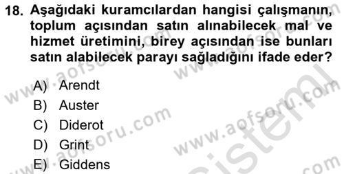 Çalışma Sosyolojisi Dersi 2022 - 2023 Yılı Yaz Okulu Sınavı 18. Soru