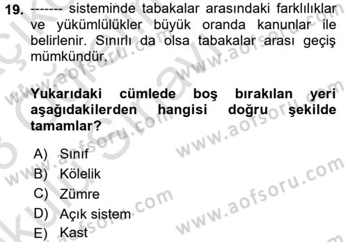 Çalışma Sosyolojisi Dersi 2022 - 2023 Yılı Yaz Okulu Sınavı 19. Soru