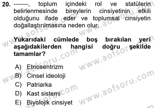 Çalışma Sosyolojisi Dersi 2022 - 2023 Yılı Yaz Okulu Sınavı 20. Soru