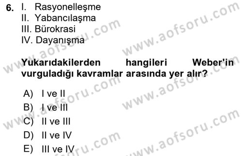 Çalışma Sosyolojisi Dersi 2022 - 2023 Yılı Yaz Okulu Sınavı 6. Soru