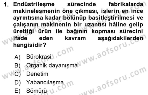 Çalışma Sosyolojisi Dersi 2023 - 2024 Yılı (Vize) Ara Sınavı 1. Soru