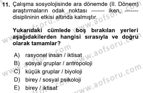 Çalışma Sosyolojisi Dersi 2023 - 2024 Yılı (Vize) Ara Sınavı 11. Soru