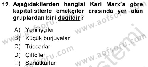 Çalışma Sosyolojisi Dersi 2023 - 2024 Yılı (Vize) Ara Sınavı 12. Soru