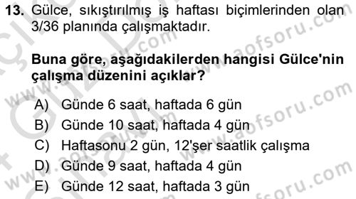 Çalışma Sosyolojisi Dersi 2023 - 2024 Yılı (Vize) Ara Sınavı 13. Soru