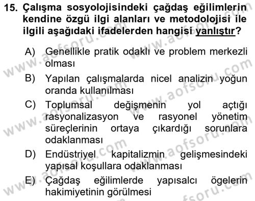 Çalışma Sosyolojisi Dersi 2023 - 2024 Yılı (Vize) Ara Sınavı 15. Soru