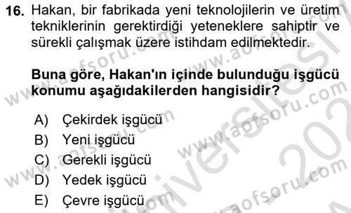 Çalışma Sosyolojisi Dersi 2023 - 2024 Yılı (Vize) Ara Sınavı 16. Soru