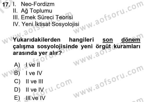 Çalışma Sosyolojisi Dersi 2023 - 2024 Yılı (Vize) Ara Sınavı 17. Soru