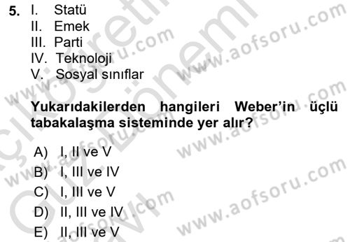 Çalışma Sosyolojisi Dersi 2023 - 2024 Yılı (Vize) Ara Sınavı 5. Soru