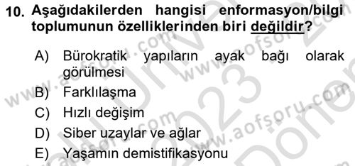 Çalışma Sosyolojisi Dersi 2023 - 2024 Yılı (Final) Dönem Sonu Sınav Soruları 10. Soru