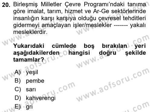 Çalışma Sosyolojisi Dersi 2023 - 2024 Yılı (Final) Dönem Sonu Sınav Soruları 20. Soru