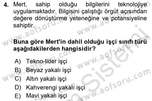 Çalışma Sosyolojisi Dersi 2023 - 2024 Yılı (Final) Dönem Sonu Sınav Soruları 4. Soru
