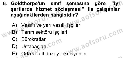 Çalışma Sosyolojisi Dersi 2023 - 2024 Yılı (Final) Dönem Sonu Sınav Soruları 6. Soru