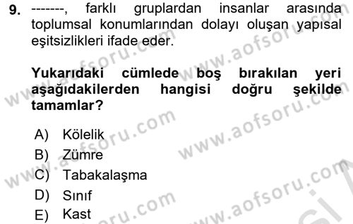 Çalışma Sosyolojisi Dersi 2023 - 2024 Yılı (Final) Dönem Sonu Sınav Soruları 9. Soru