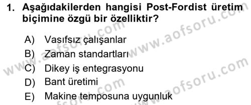 Çalışma Sosyolojisi Dersi 2023 - 2024 Yılı Yaz Okulu Sınavı 1. Soru