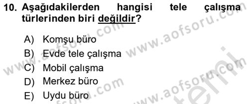 Çalışma Sosyolojisi Dersi 2023 - 2024 Yılı Yaz Okulu Sınavı 10. Soru