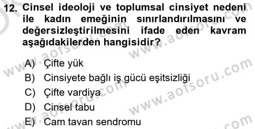 Çalışma Sosyolojisi Dersi 2023 - 2024 Yılı Yaz Okulu Sınavı 12. Soru