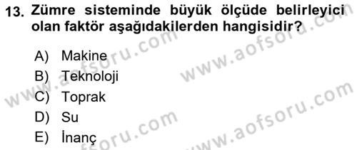 Çalışma Sosyolojisi Dersi 2023 - 2024 Yılı Yaz Okulu Sınavı 13. Soru