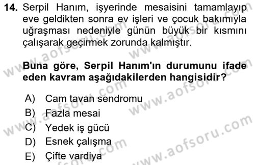 Çalışma Sosyolojisi Dersi 2023 - 2024 Yılı Yaz Okulu Sınavı 14. Soru