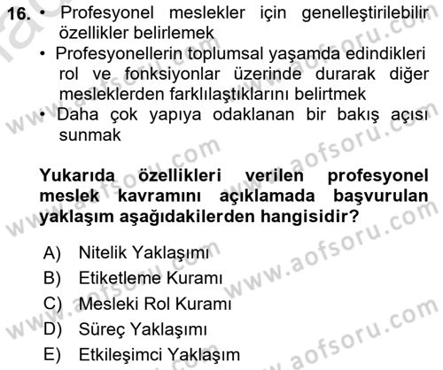 Çalışma Sosyolojisi Dersi 2023 - 2024 Yılı Yaz Okulu Sınavı 16. Soru