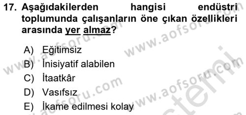 Çalışma Sosyolojisi Dersi 2023 - 2024 Yılı Yaz Okulu Sınavı 17. Soru