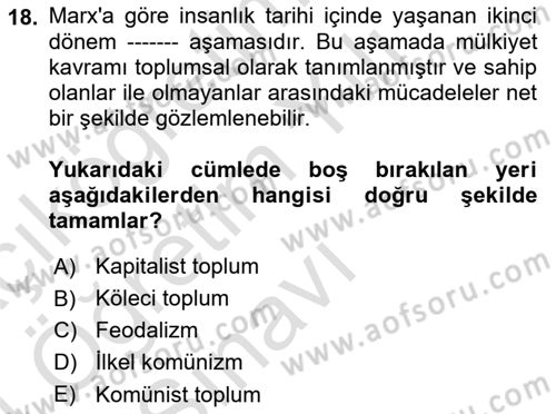 Çalışma Sosyolojisi Dersi 2023 - 2024 Yılı Yaz Okulu Sınavı 18. Soru