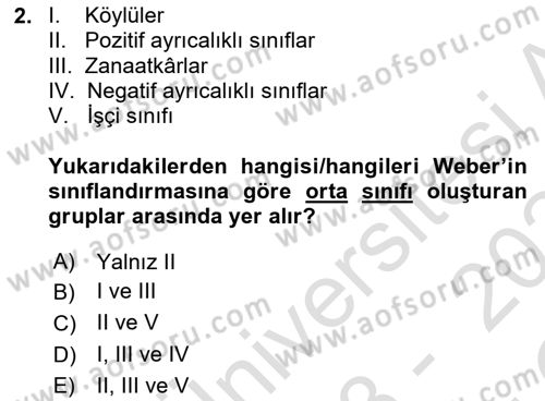 Çalışma Sosyolojisi Dersi 2023 - 2024 Yılı Yaz Okulu Sınavı 2. Soru