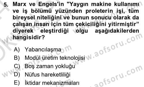 Çalışma Sosyolojisi Dersi 2023 - 2024 Yılı Yaz Okulu Sınavı 5. Soru