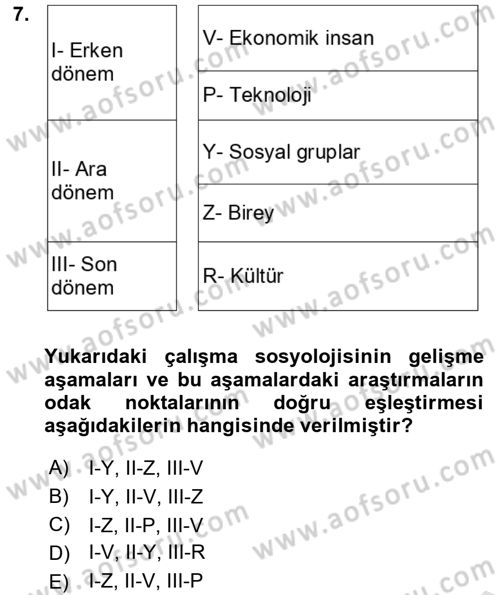 Çalışma Sosyolojisi Dersi 2023 - 2024 Yılı Yaz Okulu Sınavı 7. Soru