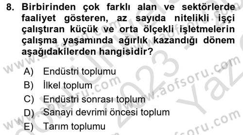 Çalışma Sosyolojisi Dersi 2023 - 2024 Yılı Yaz Okulu Sınavı 8. Soru