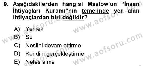 Çalışma Sosyolojisi Dersi 2023 - 2024 Yılı Yaz Okulu Sınavı 9. Soru