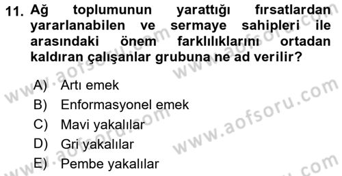 Çalışma Sosyolojisi Dersi Ara Sınavı Deneme Sınav Soruları 11. Soru