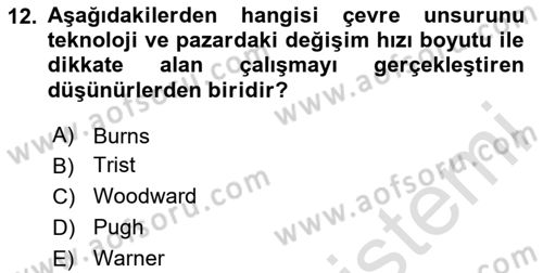 Çalışma Sosyolojisi Dersi 2024 - 2025 Yılı (Vize) Ara Sınav Soruları 12. Soru