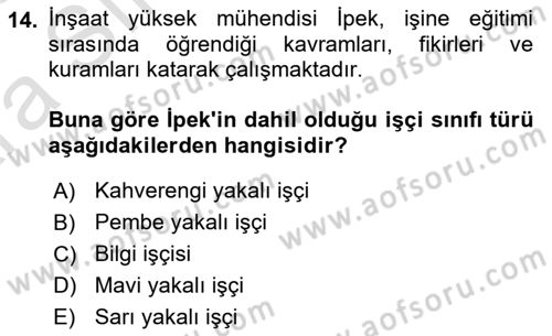 Çalışma Sosyolojisi Dersi Ara Sınavı Deneme Sınav Soruları 14. Soru