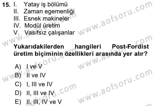 Çalışma Sosyolojisi Dersi Ara Sınavı Deneme Sınav Soruları 15. Soru