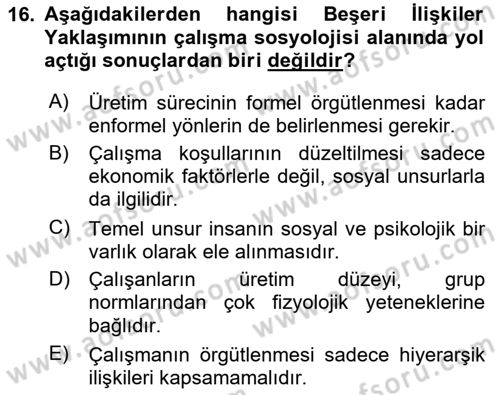 Çalışma Sosyolojisi Dersi 2024 - 2025 Yılı (Vize) Ara Sınav Soruları 16. Soru