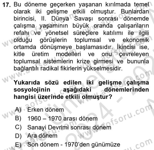 Çalışma Sosyolojisi Dersi 2024 - 2025 Yılı (Vize) Ara Sınav Soruları 17. Soru