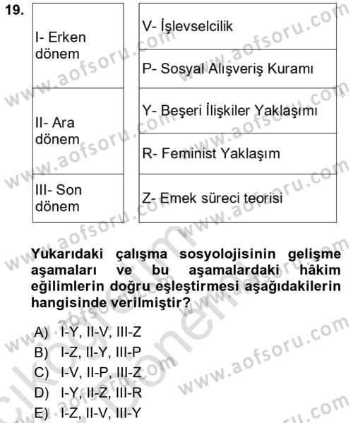 Çalışma Sosyolojisi Dersi Ara Sınavı Deneme Sınav Soruları 19. Soru