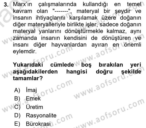 Çalışma Sosyolojisi Dersi Ara Sınavı Deneme Sınav Soruları 3. Soru
