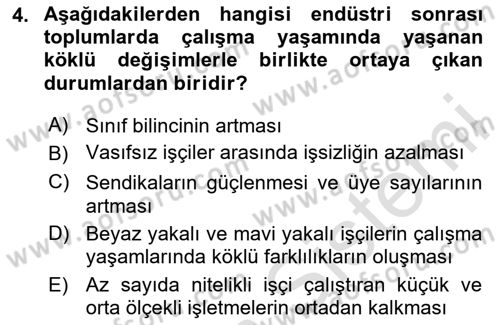 Çalışma Sosyolojisi Dersi 2024 - 2025 Yılı (Vize) Ara Sınav Soruları 4. Soru